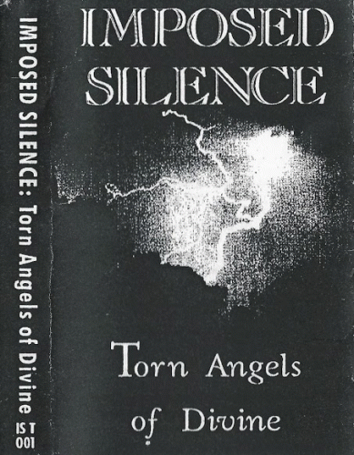 Torn Angels of Divine